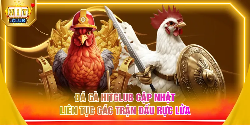 Đá gà HITCLUB cập nhật liên tục các trận đấu rực lửa