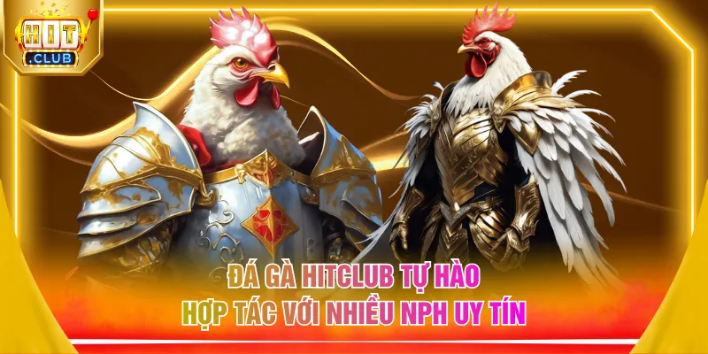 Đá gà HITCLUB tự hào hợp tác với nhiều NPH uy tín