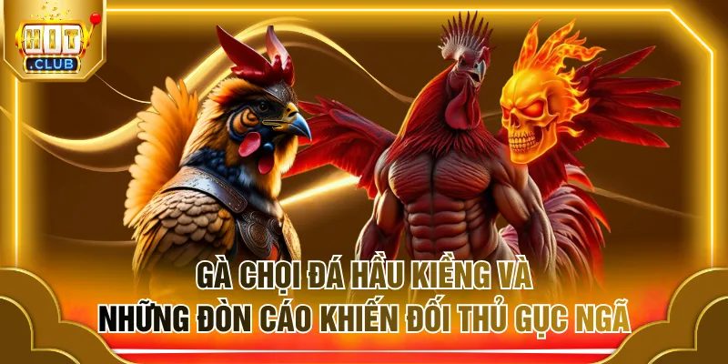 gà chọi đá hầu kiềng