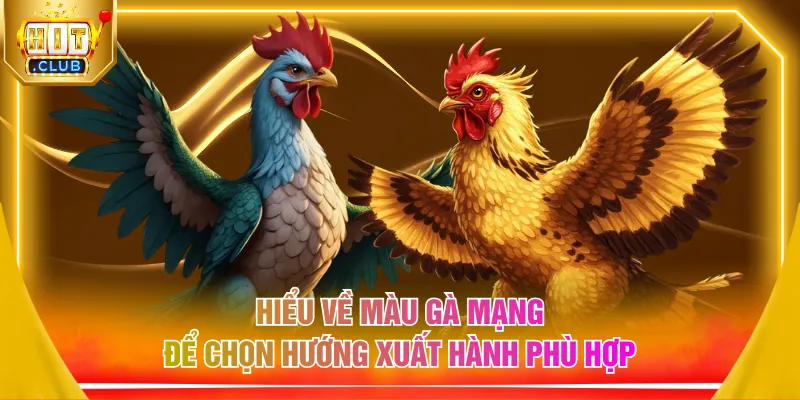 Hiểu về màu gà mạng để chọn hướng xuất hành phù hợp