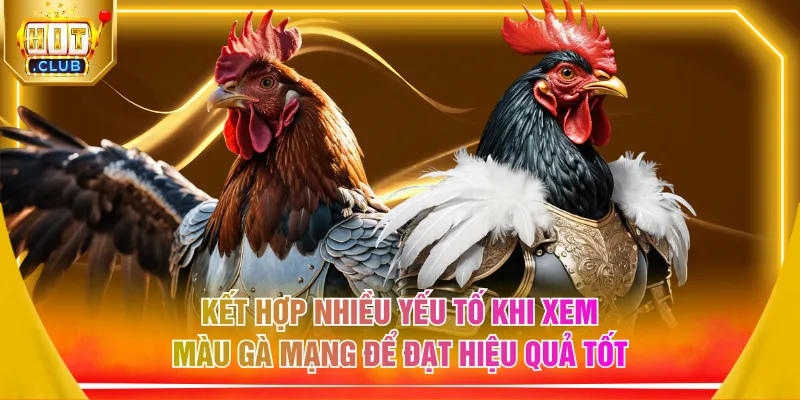 Kết hợp nhiều yếu tố khi xem màu gà mạng để đạt hiệu quả tốt