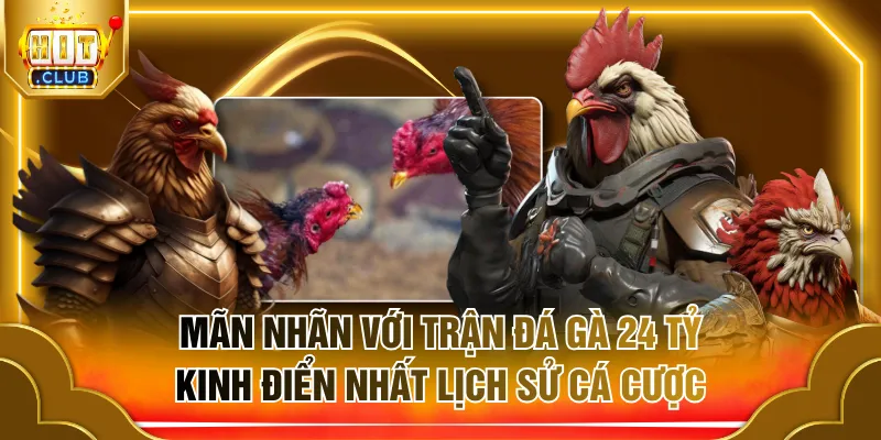 Trận đá gà 24 tỷ