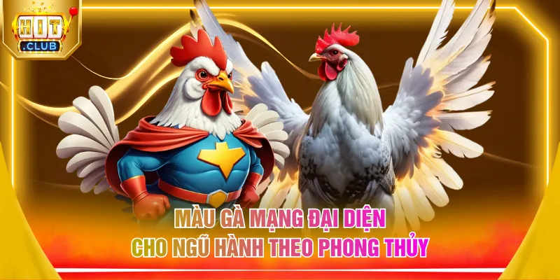 Màu gà mạng đại diện cho ngũ hành theo phong thủy