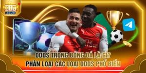 Odds trong bóng đá là gì