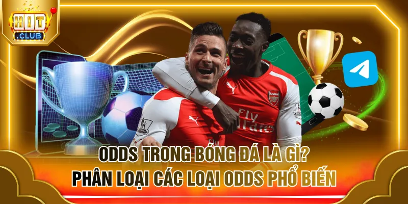 Odds trong bóng đá là gì