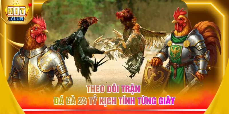Theo dõi trận đá gà 24 tỷ kịch tính từng giây