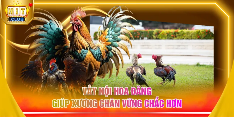Vảy nội hoa đăng giúp xương chân vững chắc hơn