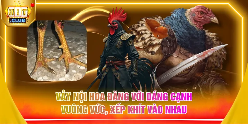 Vảy nội hoa đăng với dáng cạnh vuông vức, xếp khít vào nhau