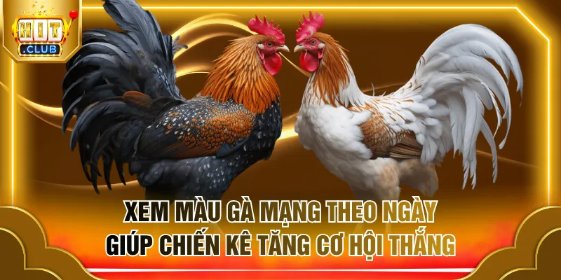màu gà mạng